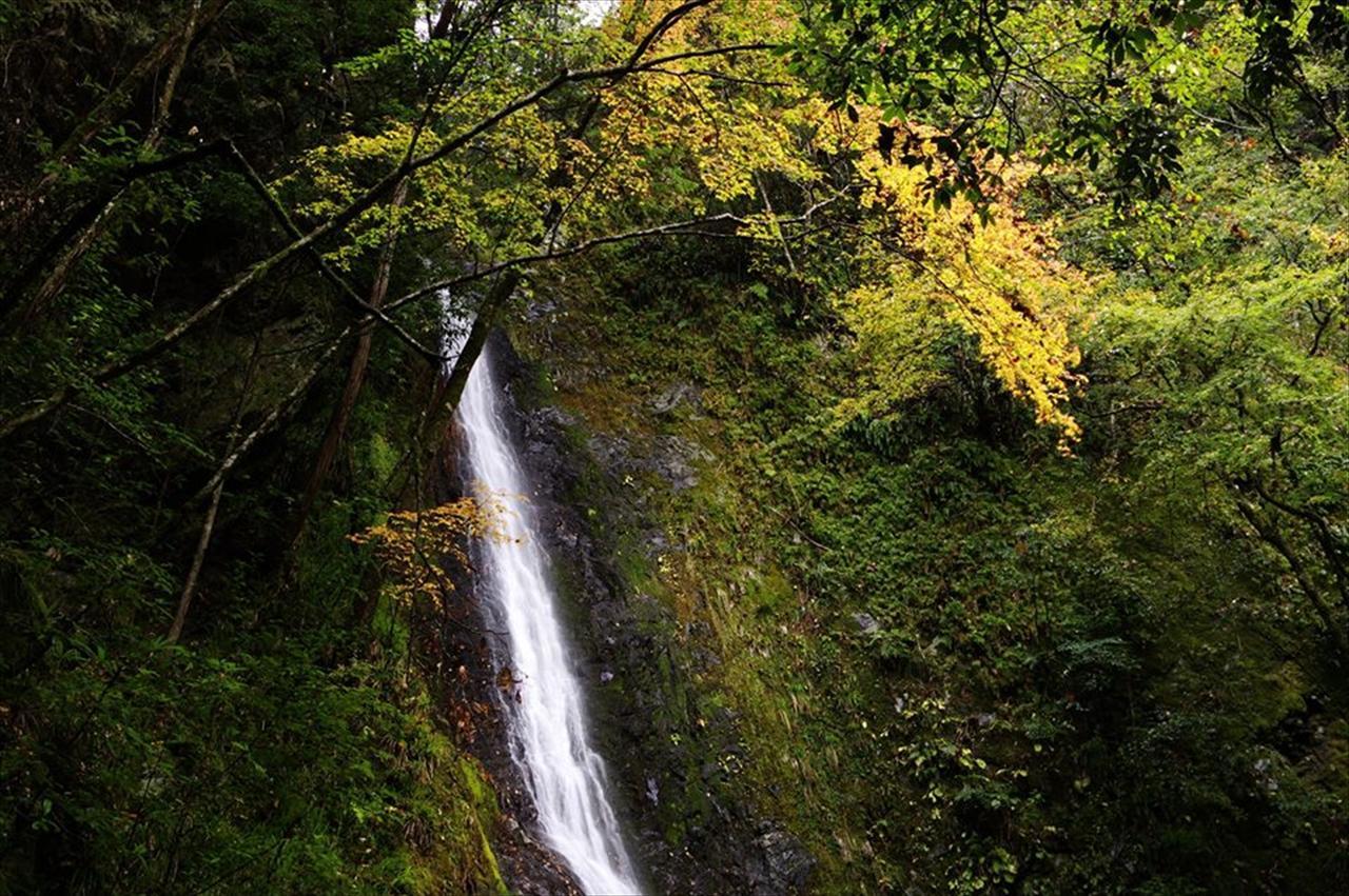 Yadori Onsen Iyashinoyu Villa Hashimoto  Buitenkant foto